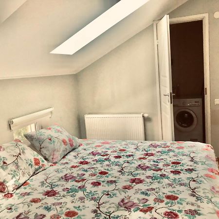 Cozy City Penthouse Apartment, Free Parking Tallinn Dış mekan fotoğraf